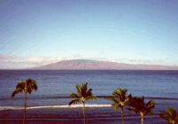 Maui View